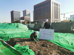 1629436142742243.png image.png